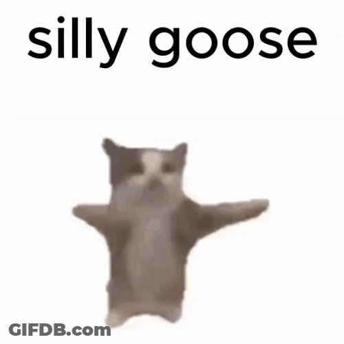 Silly Goose Dancing Kitten GIF