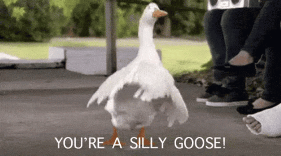 Silly Goose Dancing On Street GIF