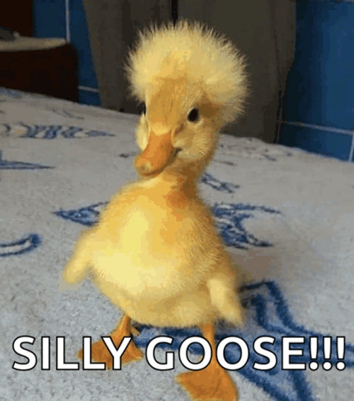 Silly Goose Fluffy Hair GIF