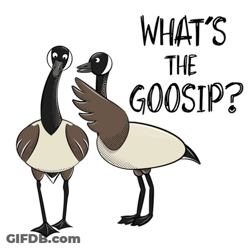Silly Goose Gossiping GIF