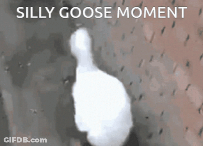 Silly Goose Head Dance GIF