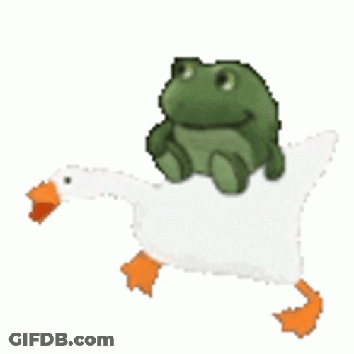 Silly Goose Quick Running Carrying Frog GIF