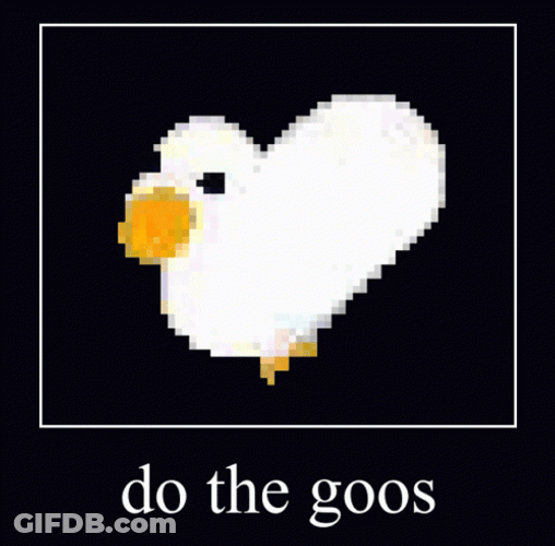 Silly Goose Spinning GIF