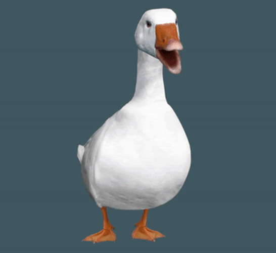 Silly Goose Turns To Egg GIF
