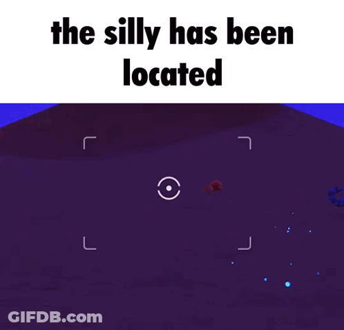Silly Has Been Located Video Game GIF