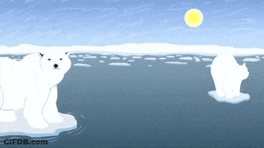 Silly Polar Bear Spinning GIF