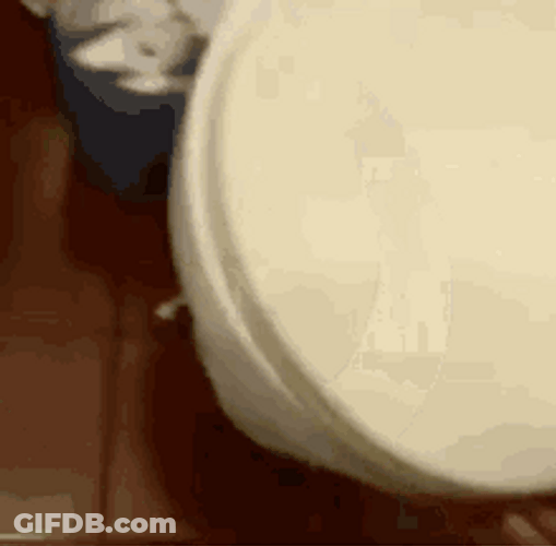 Silly Rat Run Inside Toilet GIF