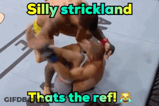 Silly Strickland Meme Ref GIF