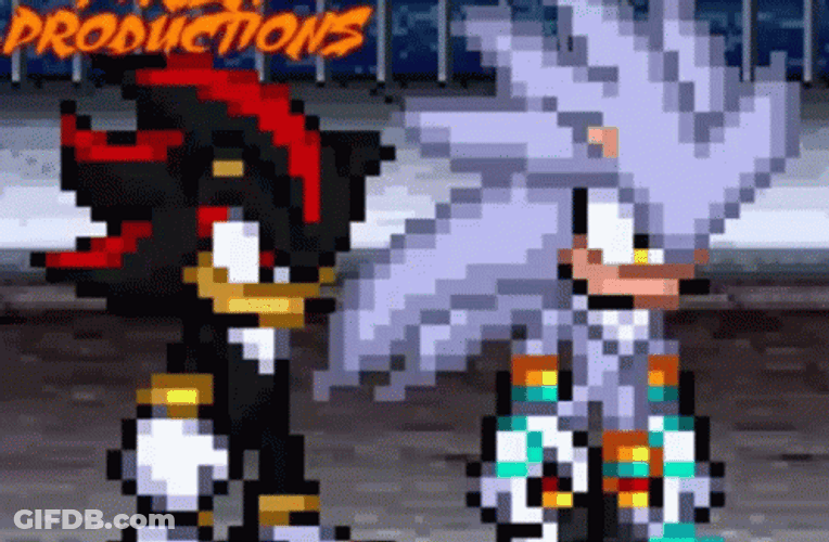 Silver And Shadow The Hedgehog Team GIF