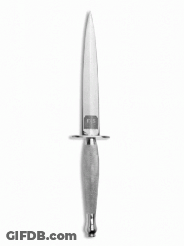 Silver Dagger With Letter FS GIF