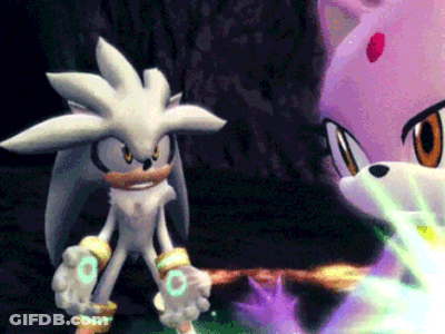 Silver The Hedgehog Standing Next To Blaze The Hedgehog In A Video Game GIF