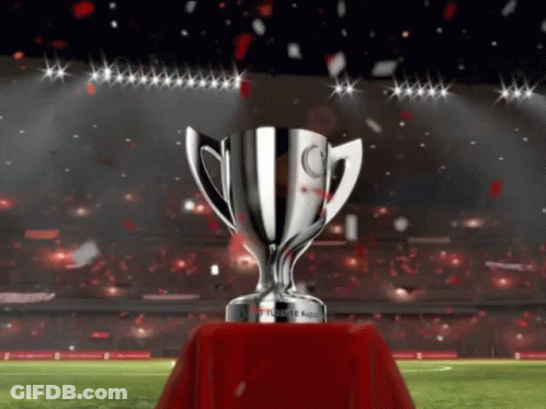 Silver Trophy On Red Cloth Saying Ticaret Kupasi GIF