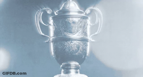 Silver Trophy With Blue Floral Design GIF