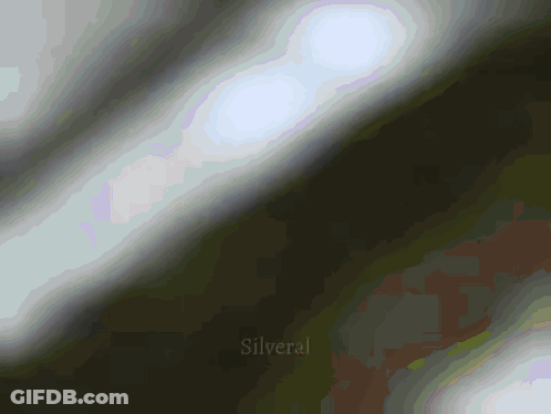 Silveral On Gray Background GIF