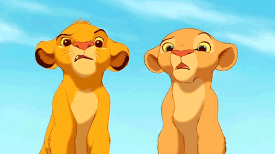 Simba And Nala Huh Reaction GIF