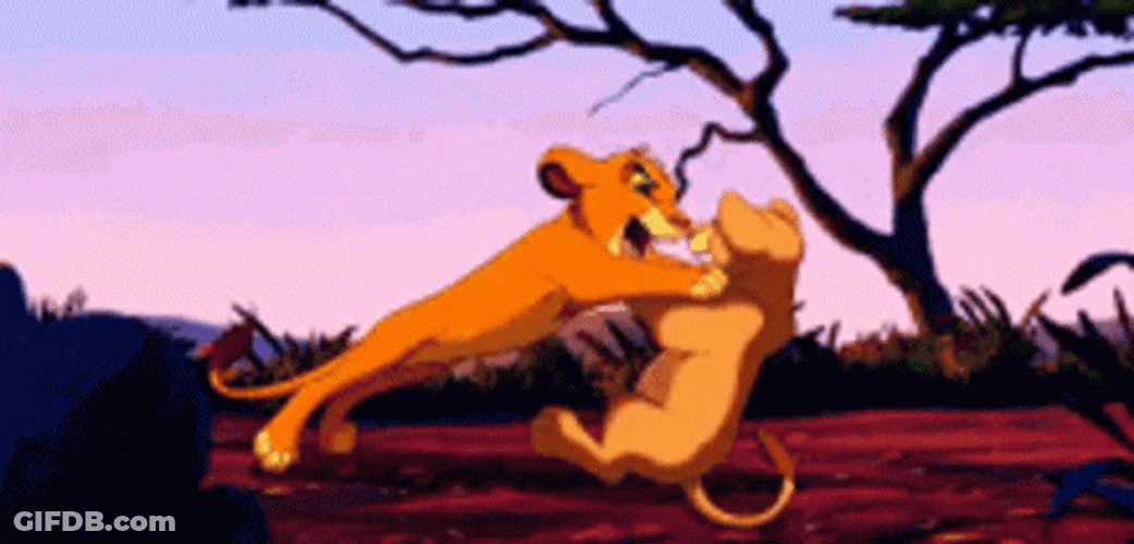 Simba And Nala's Savannah Playtime GIF