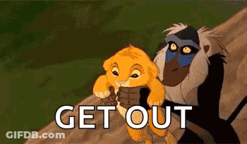 Simba And Rafiki From The Lion King Are Standing Next To Each Other . GIF