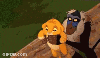 Simba And Rafiki Standing On A Rock GIF