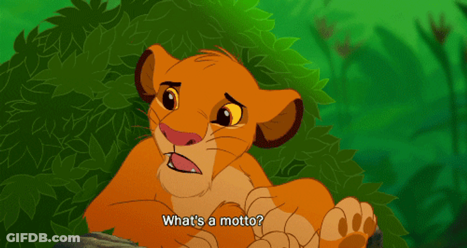Simba Asking Timon What Is Motto GIF