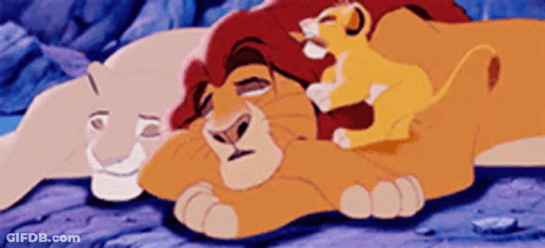 Simba Bite His Fathers Ear While Sleeping GIF