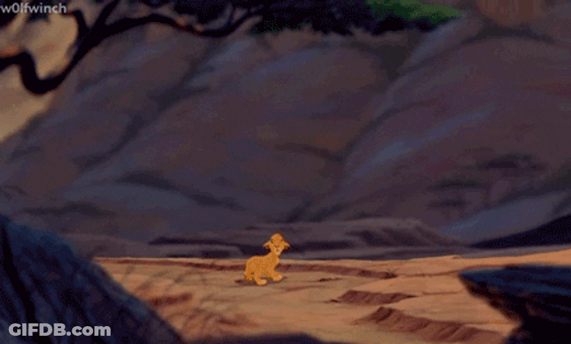 Simba Brave Leap Into Adventure GIF