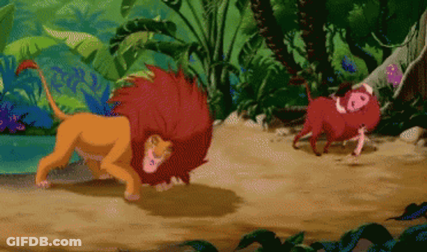 Simba Energetic Playtime With Timon And Pumbaba GIF