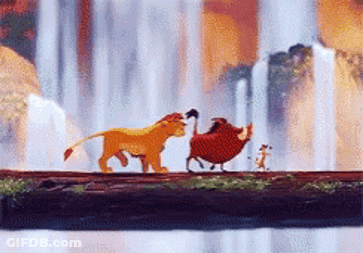 Simba Enjoying The Night With Timon And Pumbaba GIF