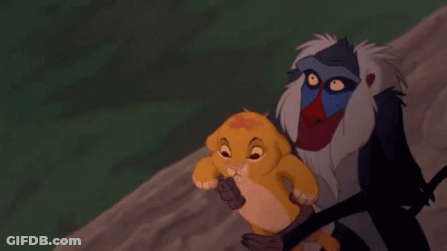 Simba GIF