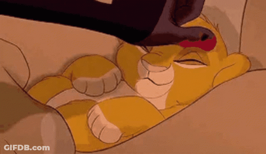 Simba Peaceful Nap In The Pride Lands GIF