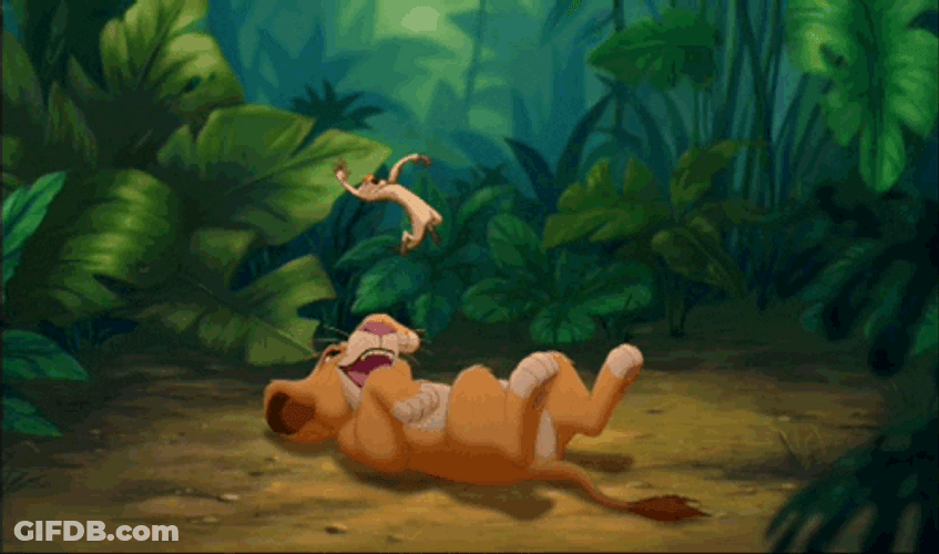 Simba Play Timon Like A Yoyo GIF