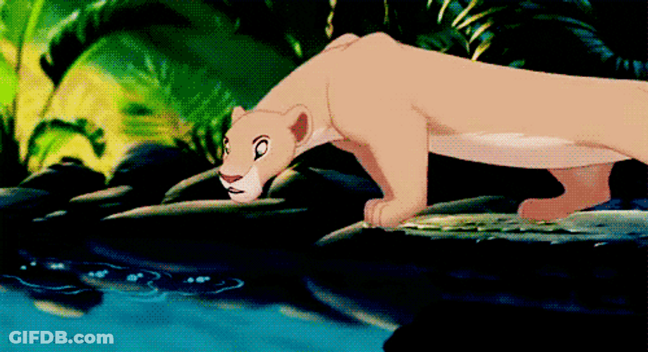 Simba Playful Water Reflection Moment With Nala GIF