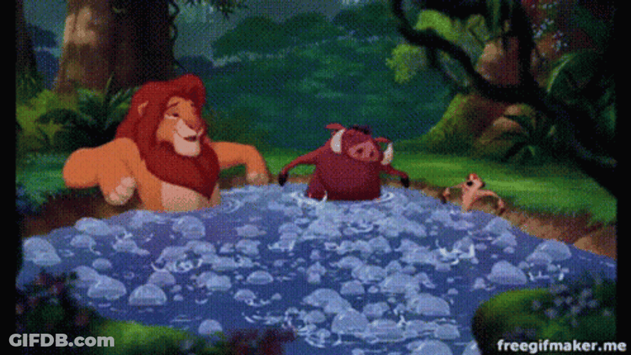 Simba, Pumba And Timon In The Hot Tub GIF