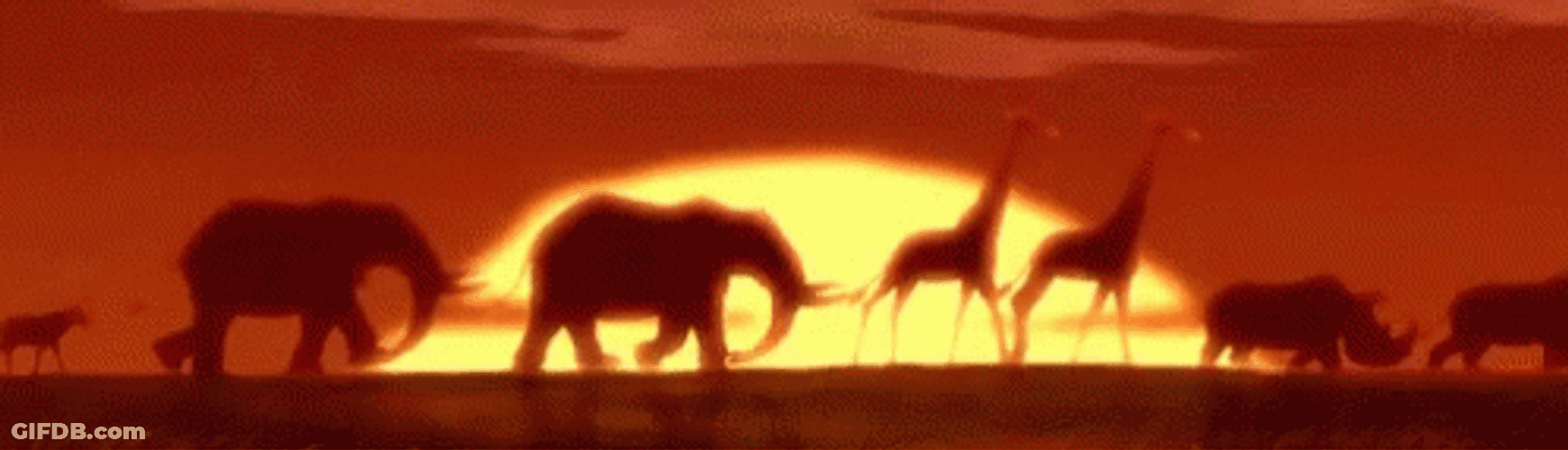 Simba's Pride Circle Of Life GIF