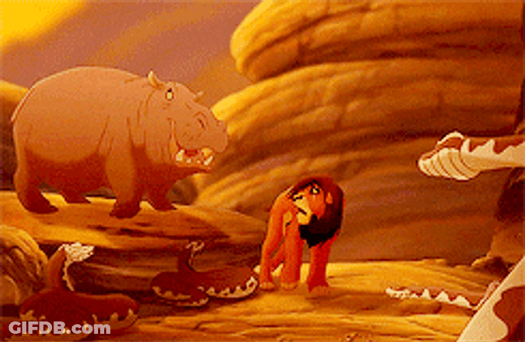 Simba Scared The Group Of Zebra GIF