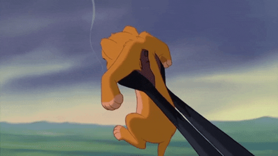 Simba Smoking GIF
