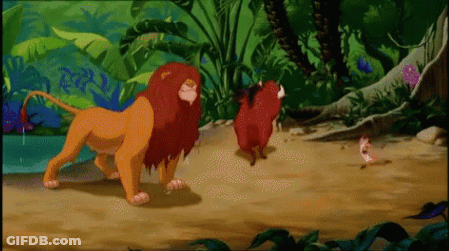 Simba Take A Bath With Timon And Pumbaba GIF