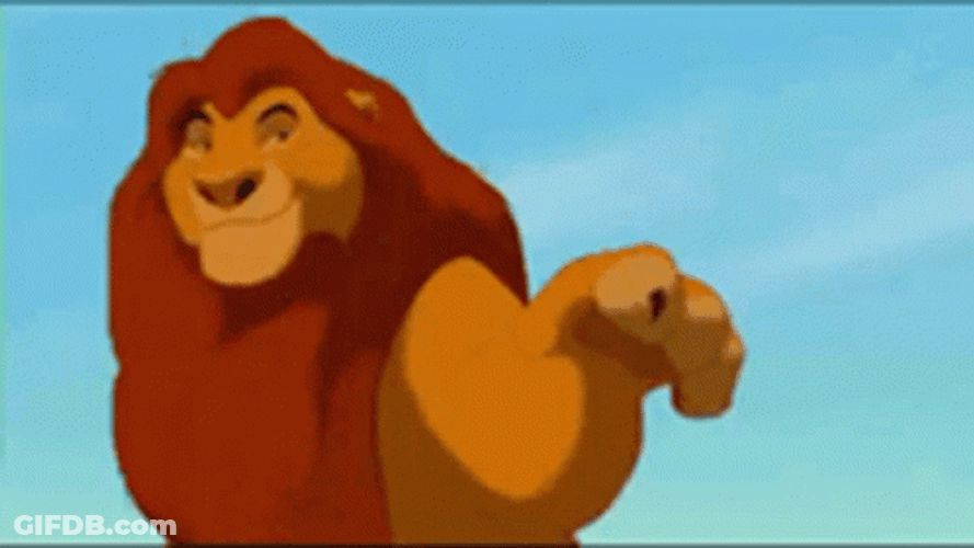 Simba Tell Everyone That Is His Territory GIF