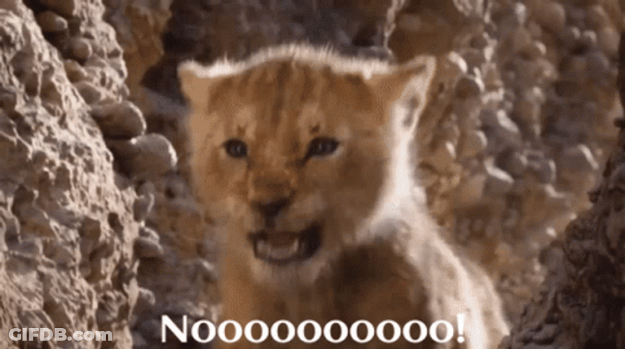 Simba The Lion Cub's Dramatic Reaction GIF
