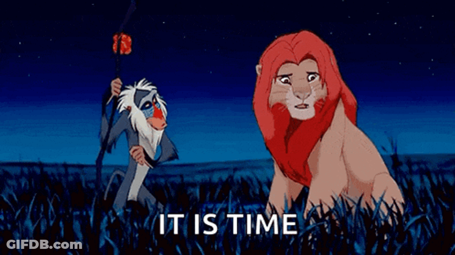 Simba The Lion King GIF