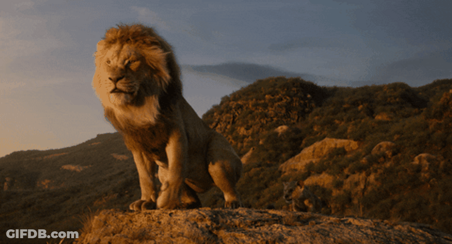 Simba The Lion King Sitting On His Throne GIF