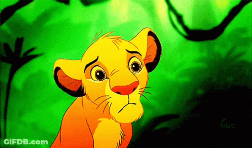 Simba Wide-Eyed Wonder GIF