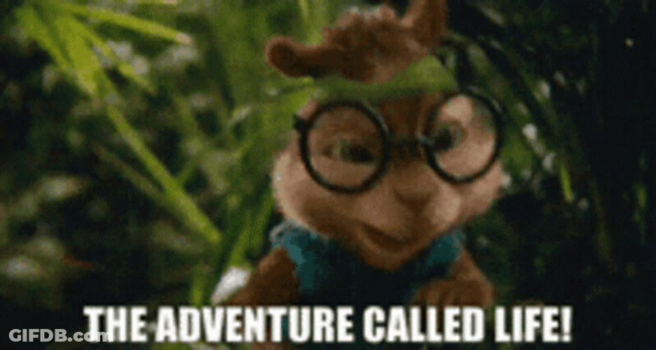 Simon Chipmunks For Adventure GIF