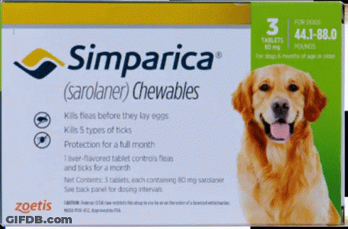 Simparica Box For Dogs With Dog Picture GIF