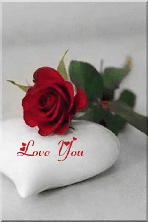 Simple One Rosas Love You GIF