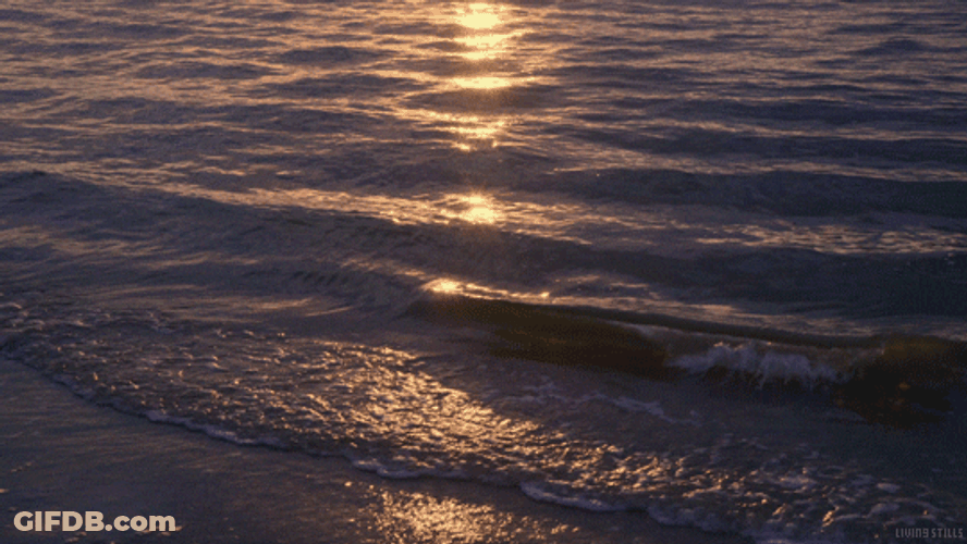 Simple Waves At The Sea GIF