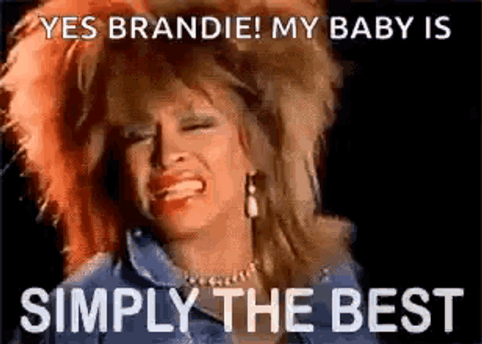 Simply The Best Tina Turner GIF