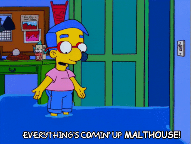 Simpsons Everything Coming Up Milhouse GIF