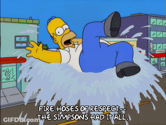 Simpsons Had All Fire Hose Of Respect GIF