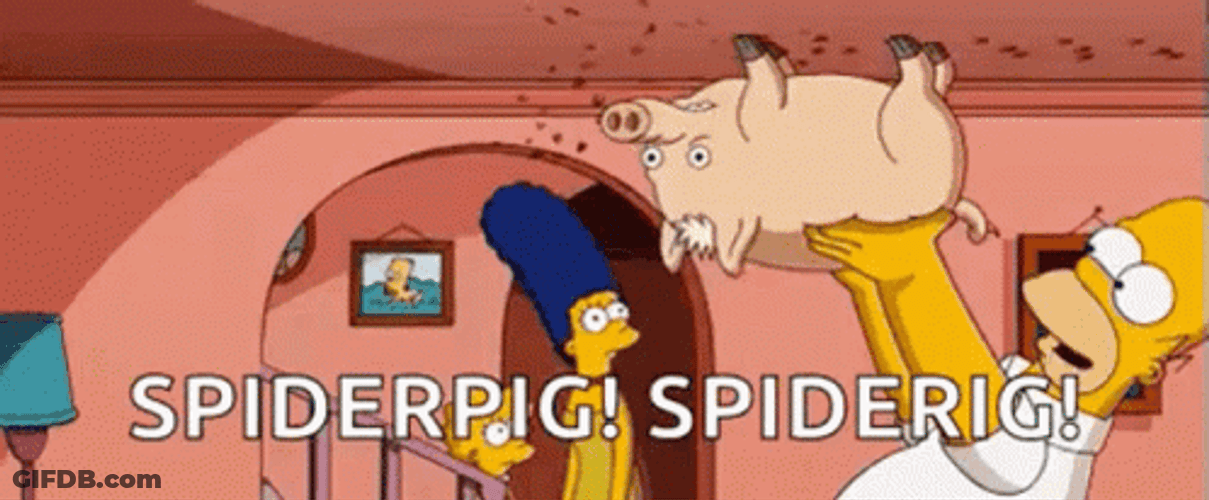 Simpsons Spider Pig GIF