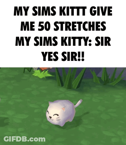 Sims Kitty Giving 50 Stretches GIF
